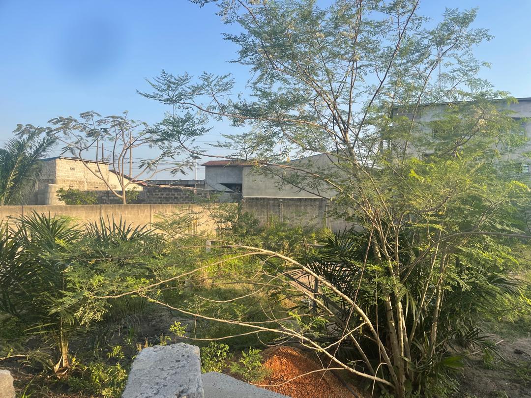 DOMAINE TF A COCOTOMEY EN 2eme position de l'autoroute - Vue 2