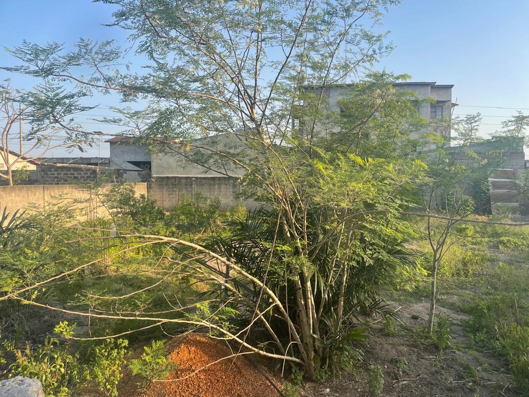 DOMAINE TF A COCOTOMEY EN 2eme position de l'autoroute - Vue 3