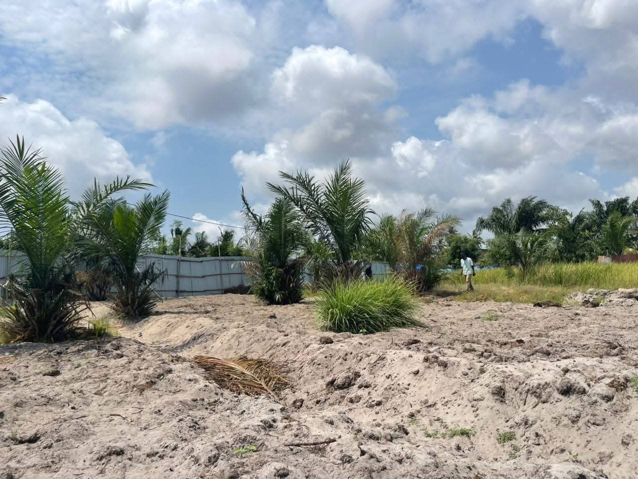 OPPORTUNITÉ FONCIÈRE À ADOUNKO(terrain a vendre)