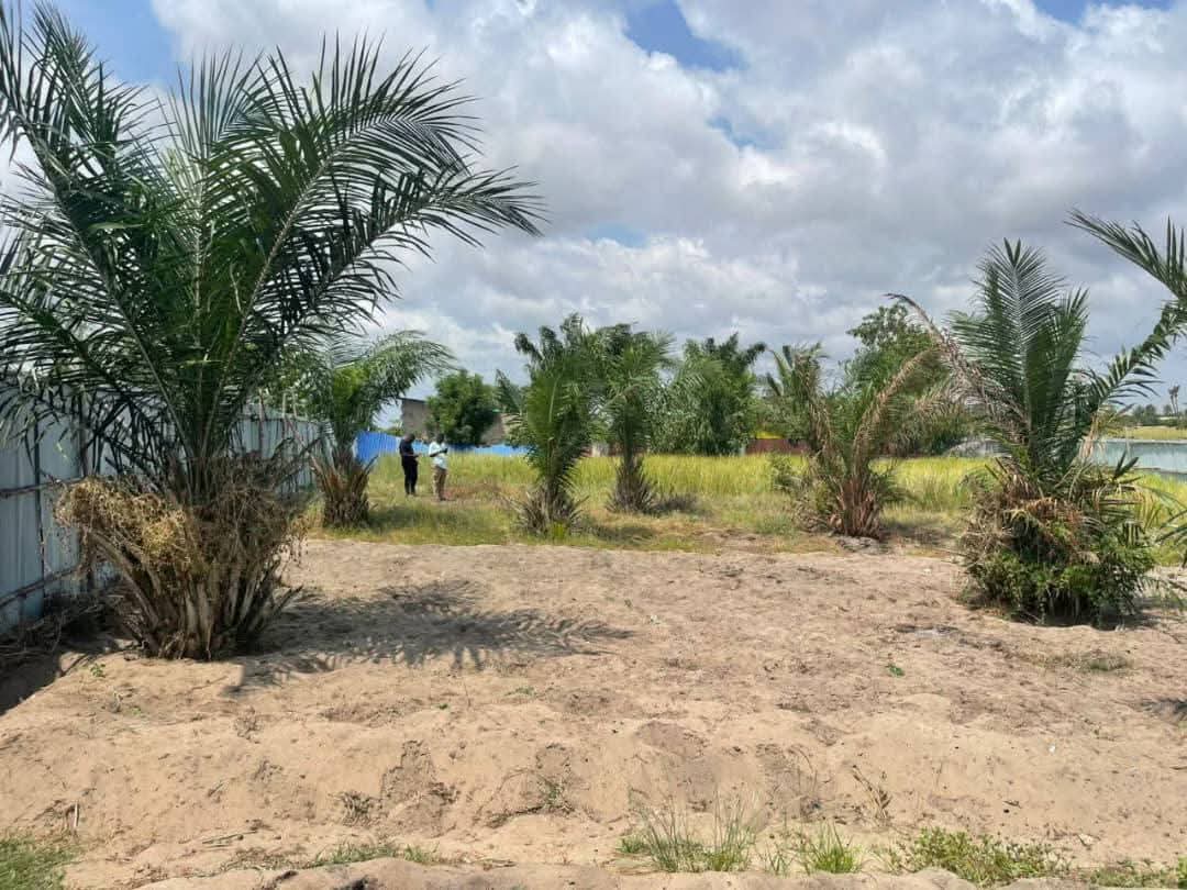 OPPORTUNITÉ FONCIÈRE À ADOUNKO(terrain a vendre) - Vue 4