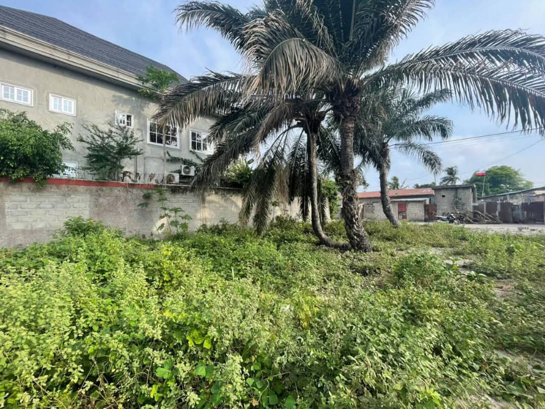 OPPORTUNITÉ FONCIÈRE - TOGBIN DAHO (Terrain a vendre) - Vue 4