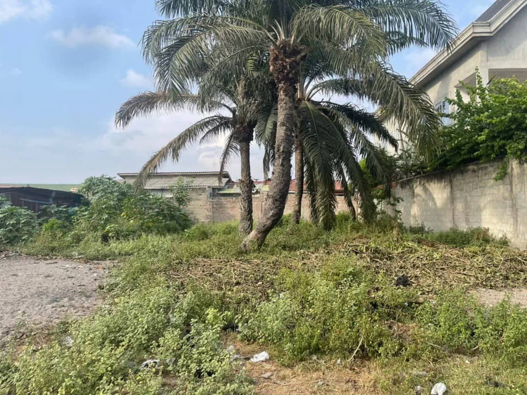 OPPORTUNITÉ FONCIÈRE - TOGBIN DAHO (Terrain a vendre) - Vue 5