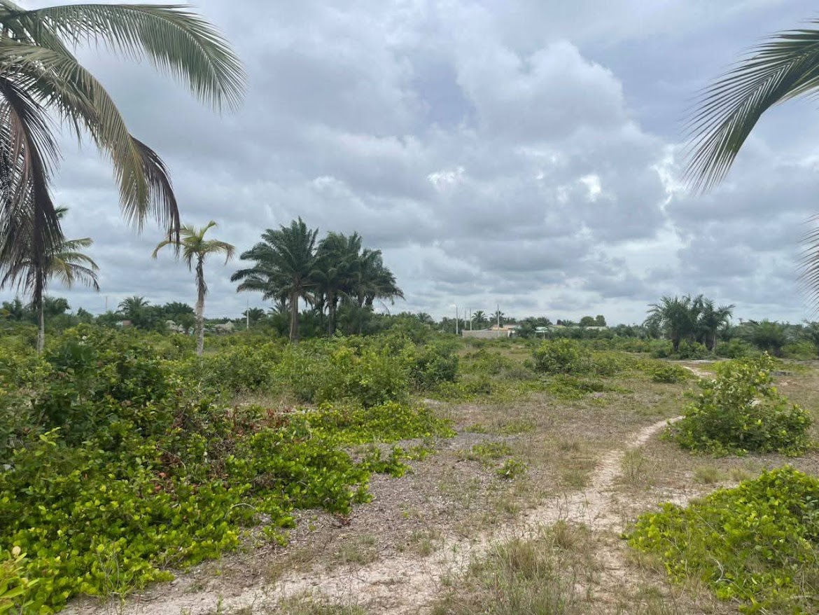 PROMO SPÉCIALE PÂQUES– AVLEKETE (Terrain a vendre) - Vue 4