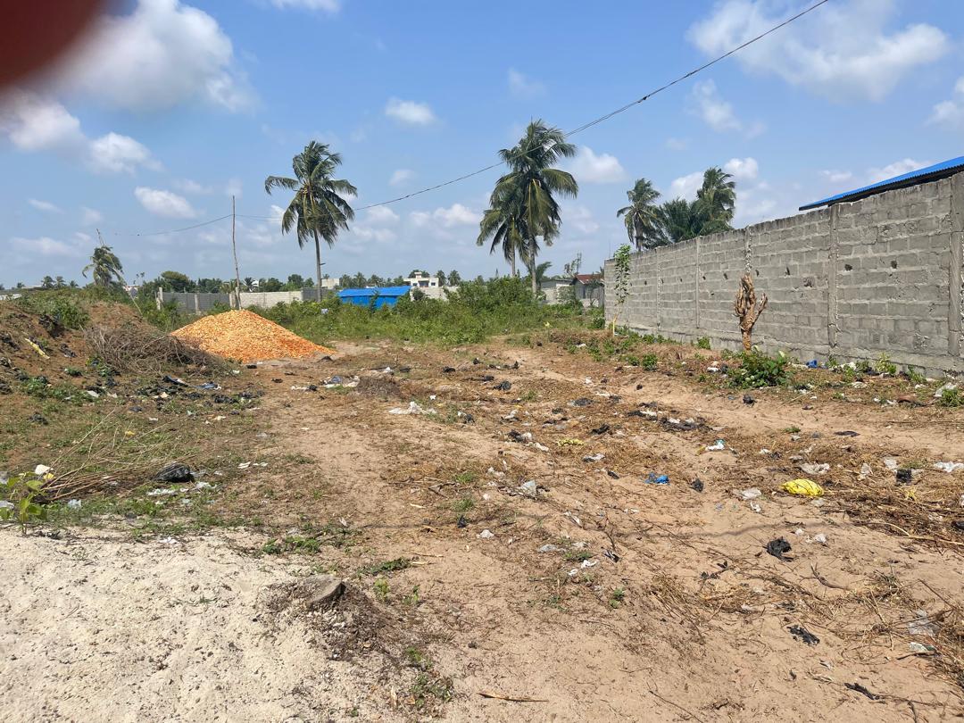 SPÉCIALE PROMO PÂQUES DE TERRAINS SÉCURISÉS À ADOUNKO  - Vue 2