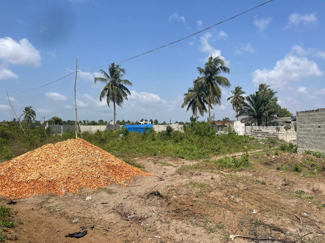 SPÉCIALE PROMO PÂQUES DE TERRAINS SÉCURISÉS À ADOUNKO  - Vue 3
