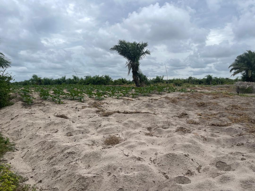 PROMO SPÉCIALE PÂQUES DE TERRAINS SÉCURISÉS (TF) À AVLÉKÉTÉ - OUIDAH ! - Vue 5