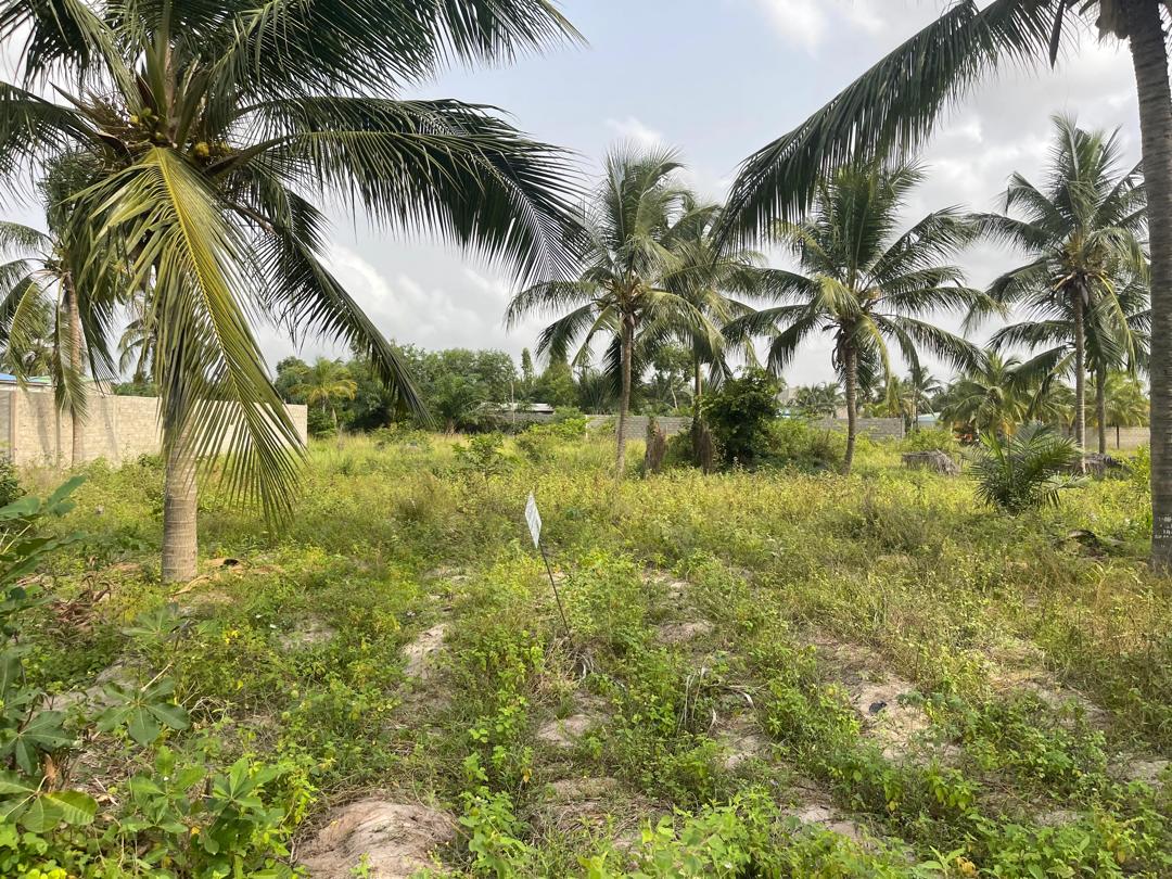 TERRAINS TITRÉS À 500 M DU PONT AVLÉKÉTÉ 🏝️ - Vue 2