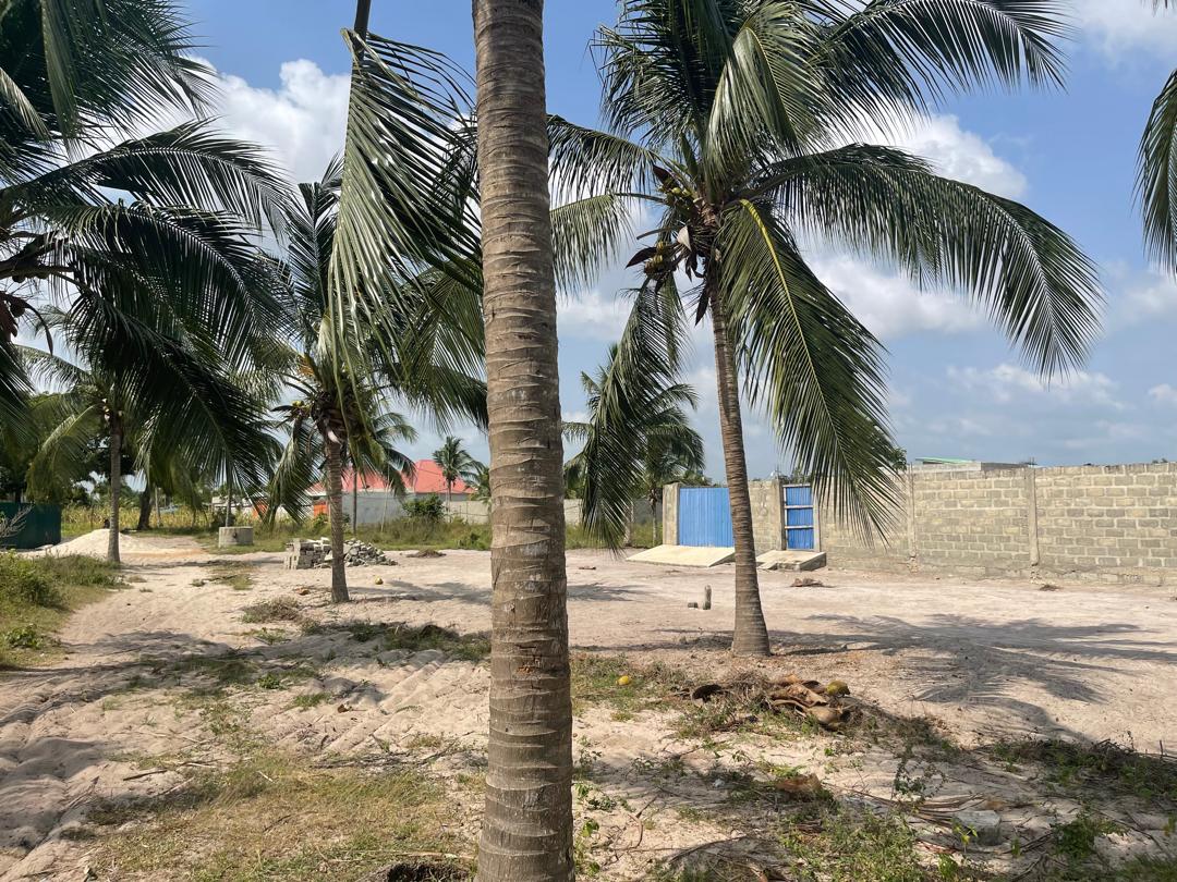 TERRAINS TITRÉS À 500 M DU PONT AVLÉKÉTÉ 🏝️ - Vue 5