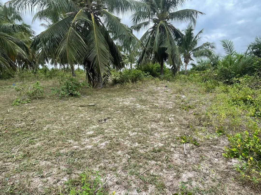 SPÉCIALE PROMO PÂQUES À PAHOU - KPOTA ( AVLÉKÉTÉ ) - Vue 4