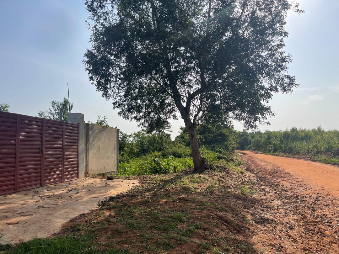 OPPORTUNITÉ FONCIÈRE À SAVI OUIDAH / ZONE HABITÉ – L' ÉLECTRICITÉ⚡