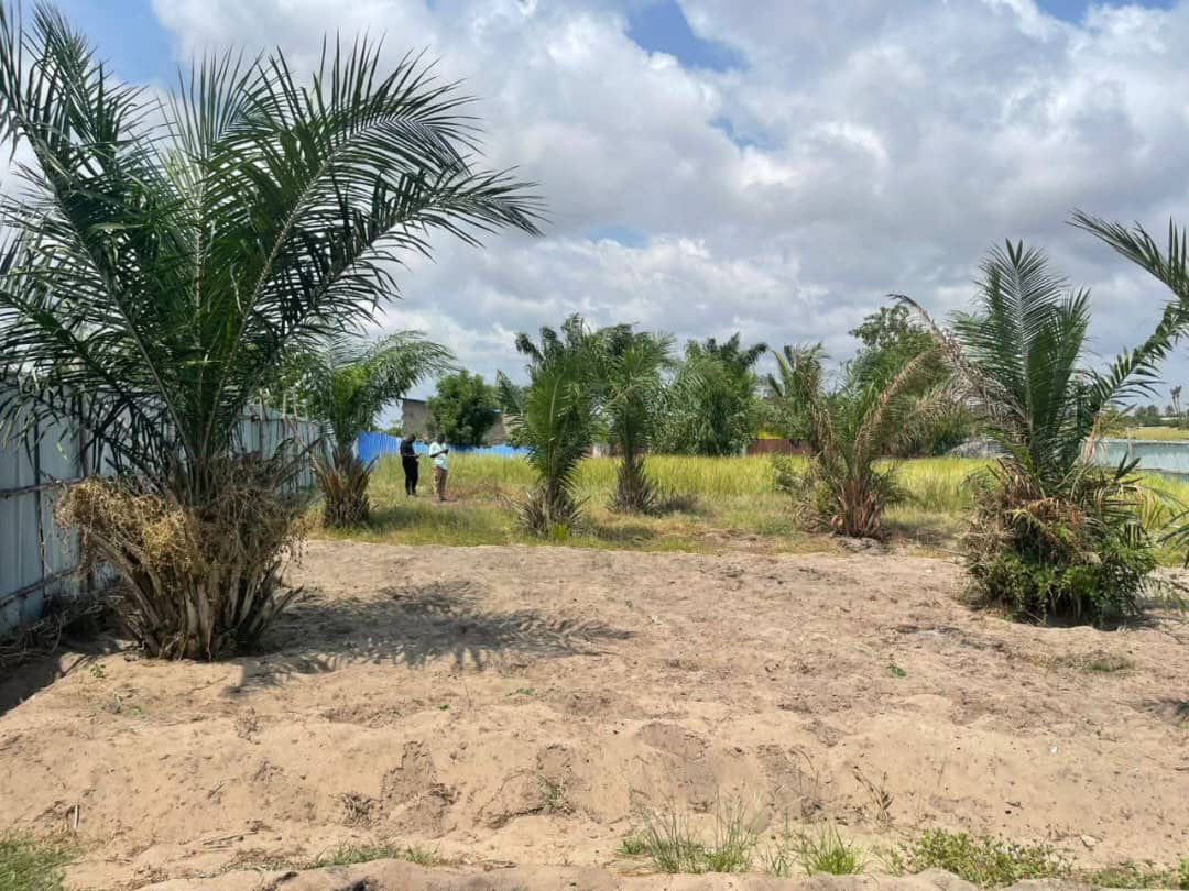 SPÉCIALE PROMO FÊTE DE TRAVAIL ( TERRAIN À ADOUNKO KPÊVI PLAGE) - Vue 4