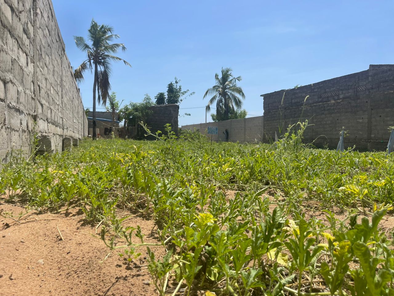 OFFRE FONCIÈRE À ADOUNKO PLAGE /KPÊVI – VU LAGUNAIRE & SUR MER - Vue 5