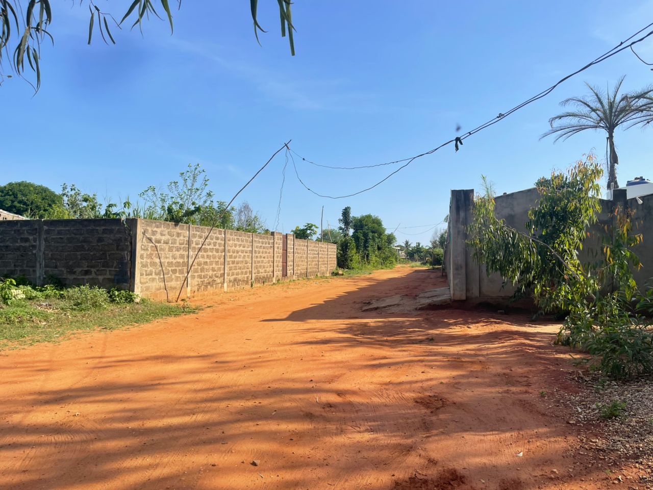 OFFRE FONCIÈRE DERRIÈRE L'ÉTABLISSEMENT HISTORIQUE DE OUIDAH ( Bertrand Dagnon ) - Vue 5