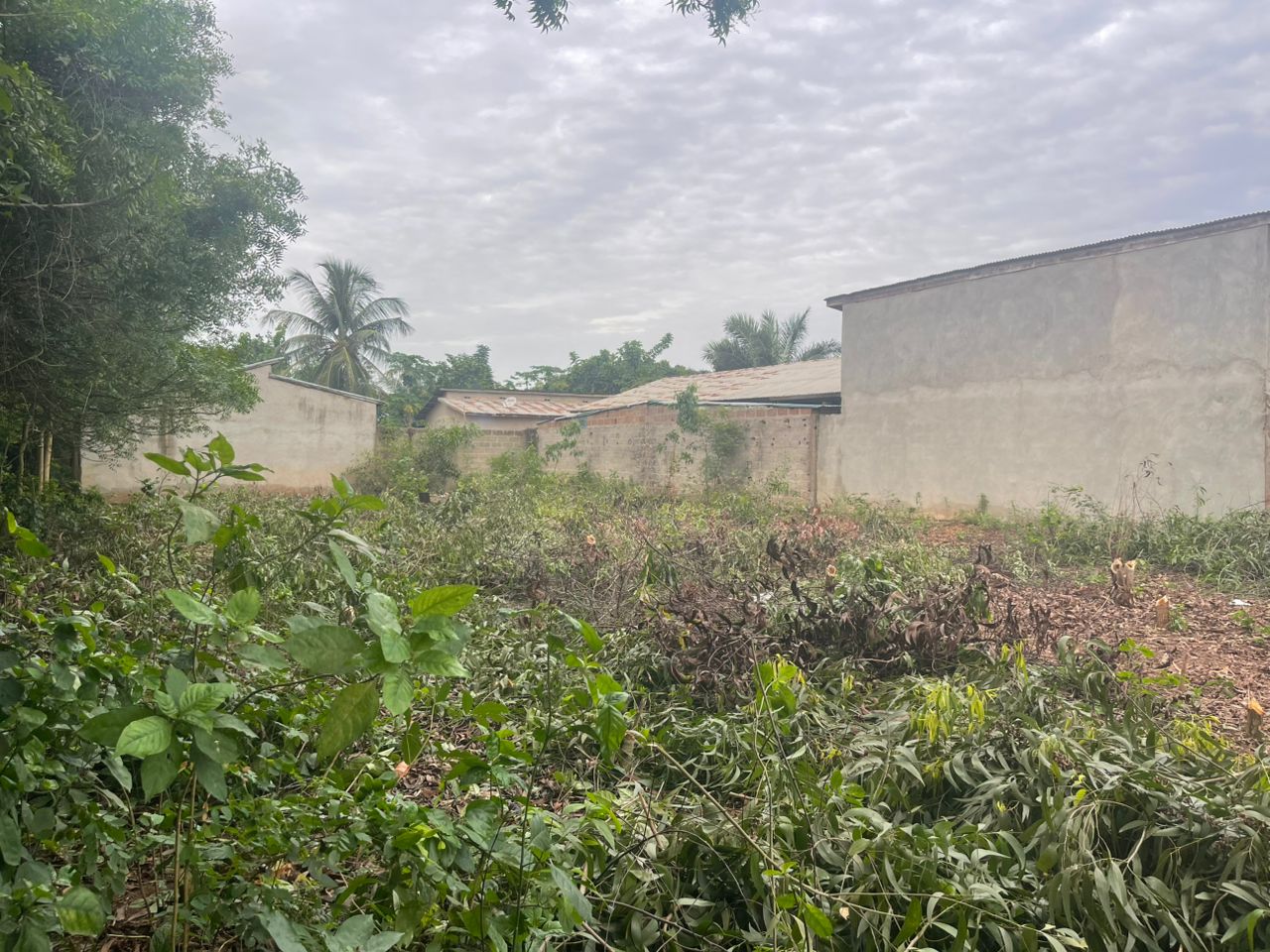 TERRAIN A VENDRE À OUIDAH - Vue 3