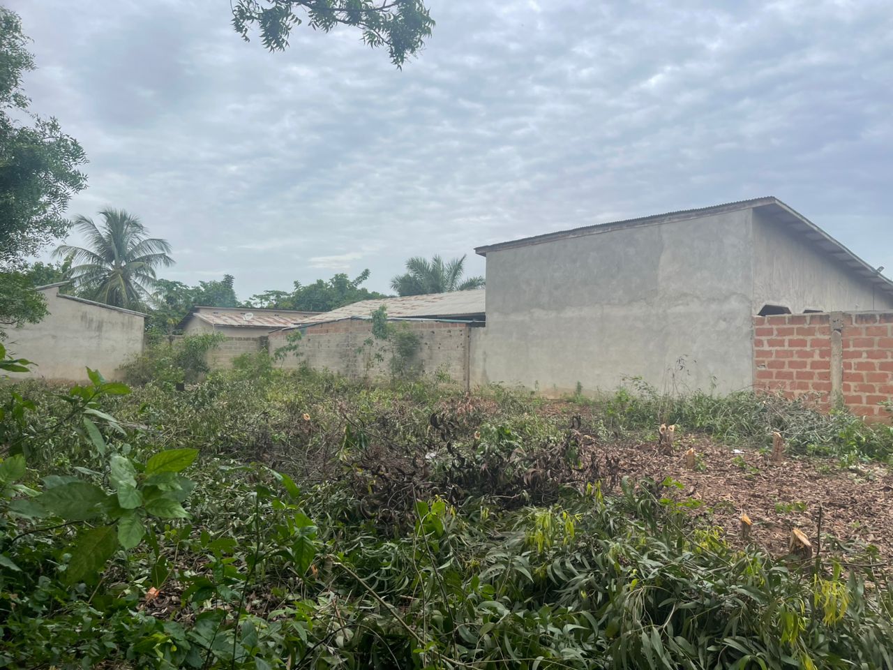 TERRAIN A VENDRE À OUIDAH - Vue 4