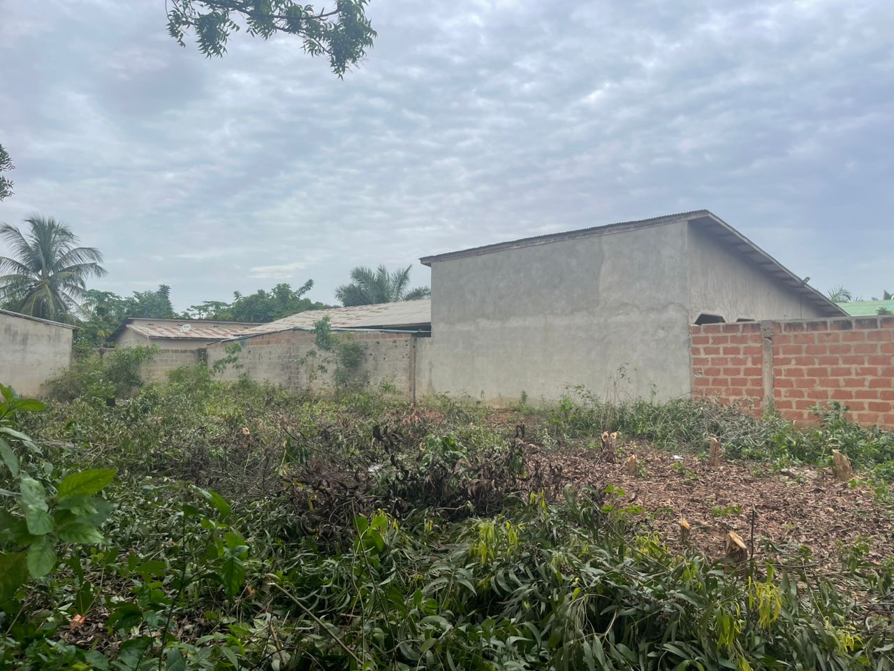 TERRAIN A VENDRE À OUIDAH - Vue 5