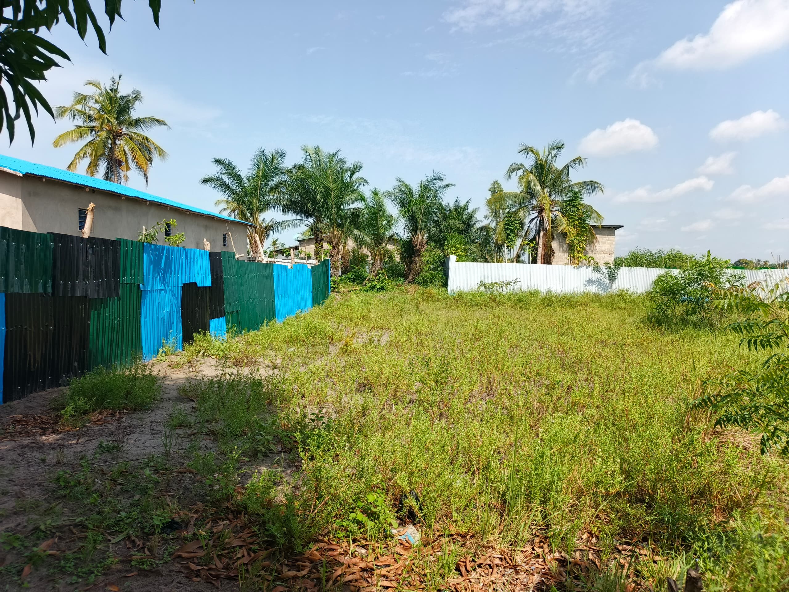 TERRAIN À VENDRE À ADOUNKO DAHO ! - Vue 4