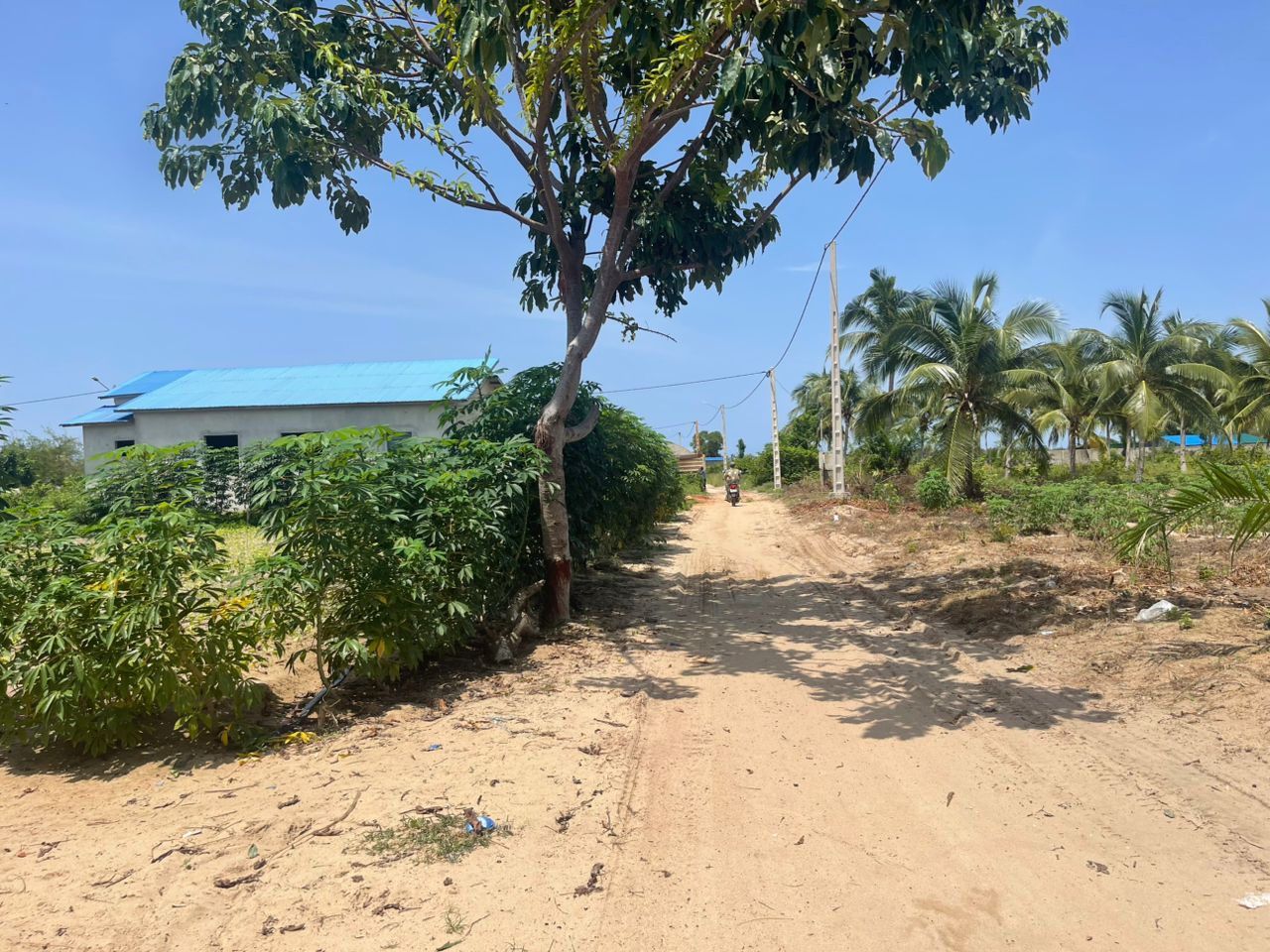 OFFRE PROMOTIONNELLE À OUIDAH - FONSA ( VENTE DE TERRAINS TITRE FONCIER / ADC ) - Vue 3