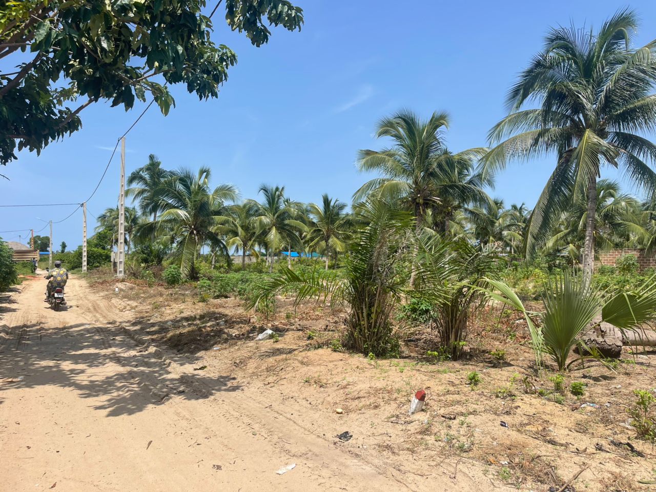 OFFRE PROMOTIONNELLE À OUIDAH - FONSA ( VENTE DE TERRAINS TITRE FONCIER / ADC ) - Vue 5