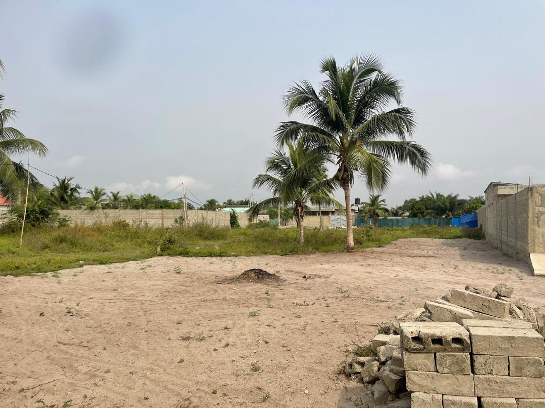 OFFRE FONCIÈRE - DOMAINE TF À 600 M DU POND D'AVLÉKÉTÉ (EN PROJET) - Vue 4
