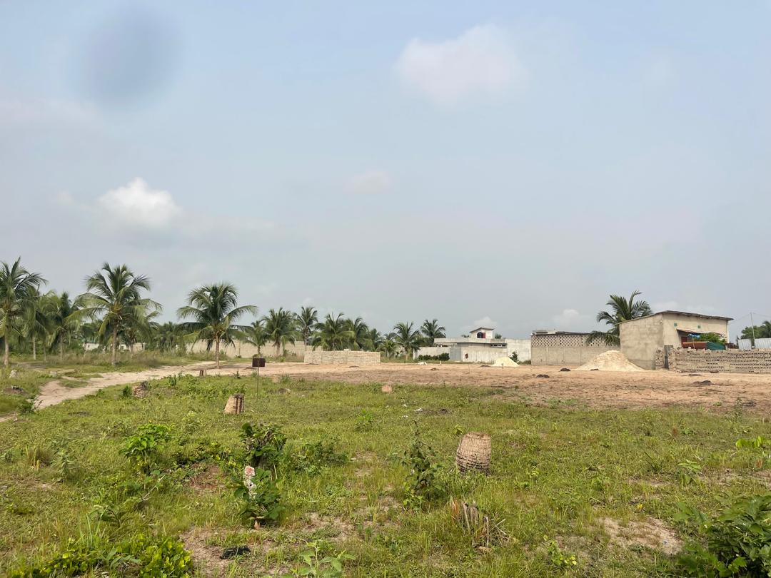 OFFRE FONCIÈRE - DOMAINE TF À 600 M DU POND D'AVLÉKÉTÉ (EN PROJET) - Vue 5