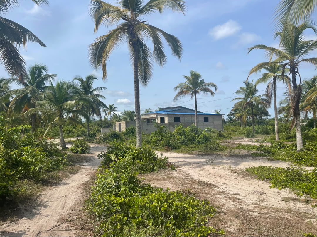 SPÉCIAL PROMO DE TERRAINS SÉCURISÉS AVEC TF À AVLÉKÉTÉ - Vue 5