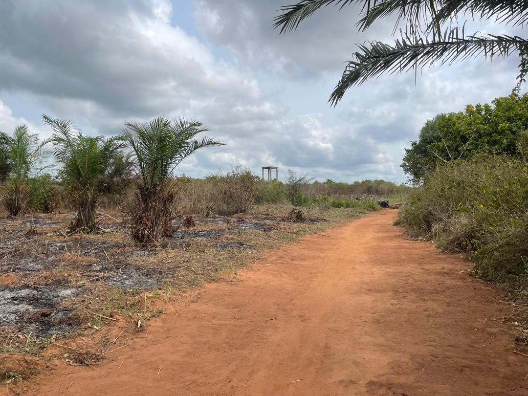 TERRAINS À VENDRE À SAVI & KPOMASSÈ - Vue 2