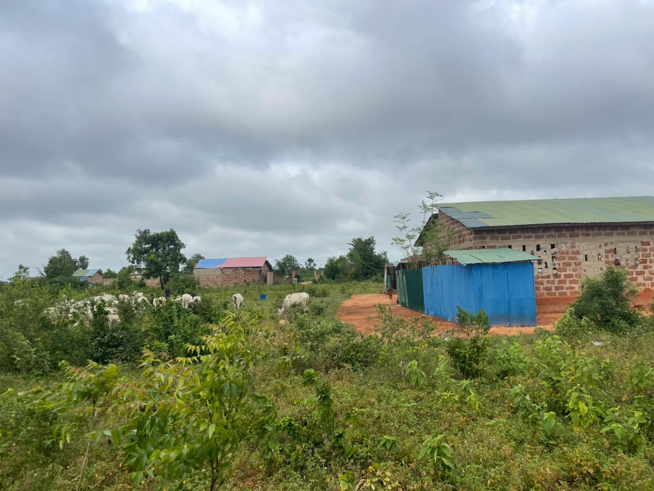 DOMAINE EN PROMO À OUIDAH DANS LA CITÉ DU NOUVEAU STADE  - Vue 2