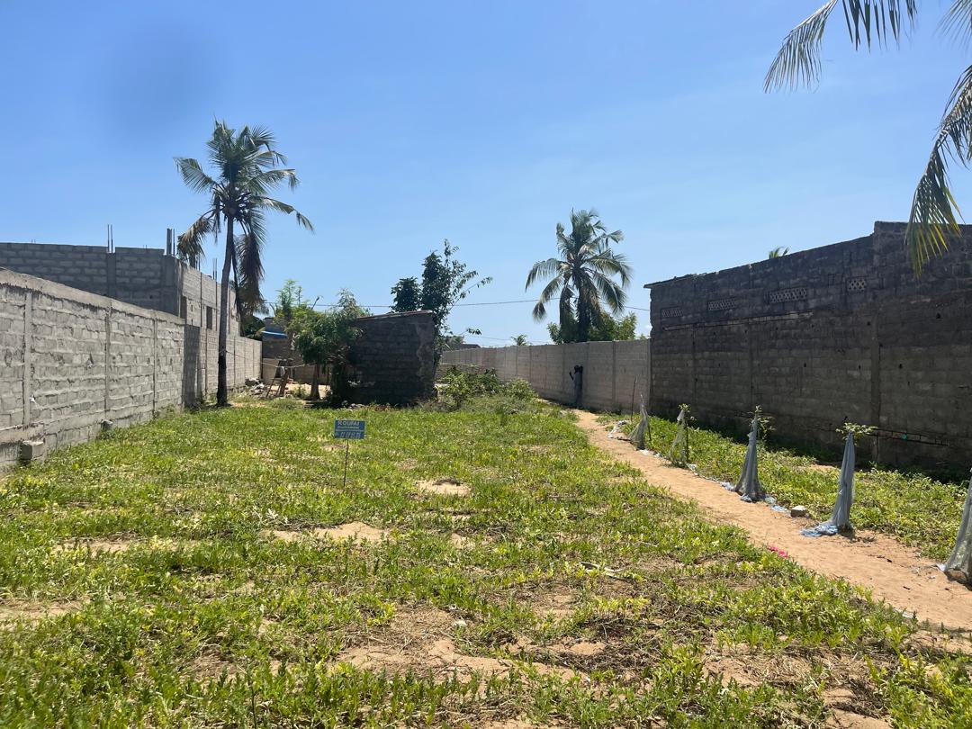 TERRAIN CONSTRUCTIBLE À ADOUNKO KPÊVI - Vue 4