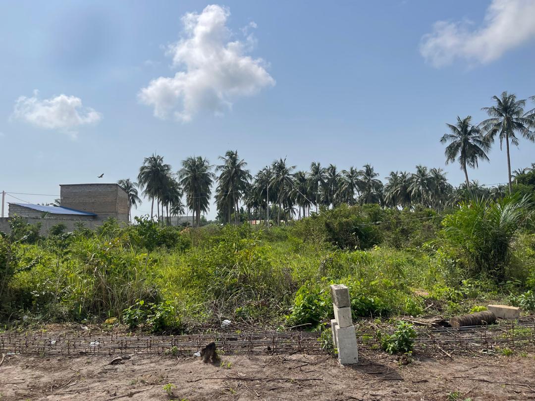 TERRAINS CONSTRUCTIBLES À ADOUNKO - CENTRE - Vue 3