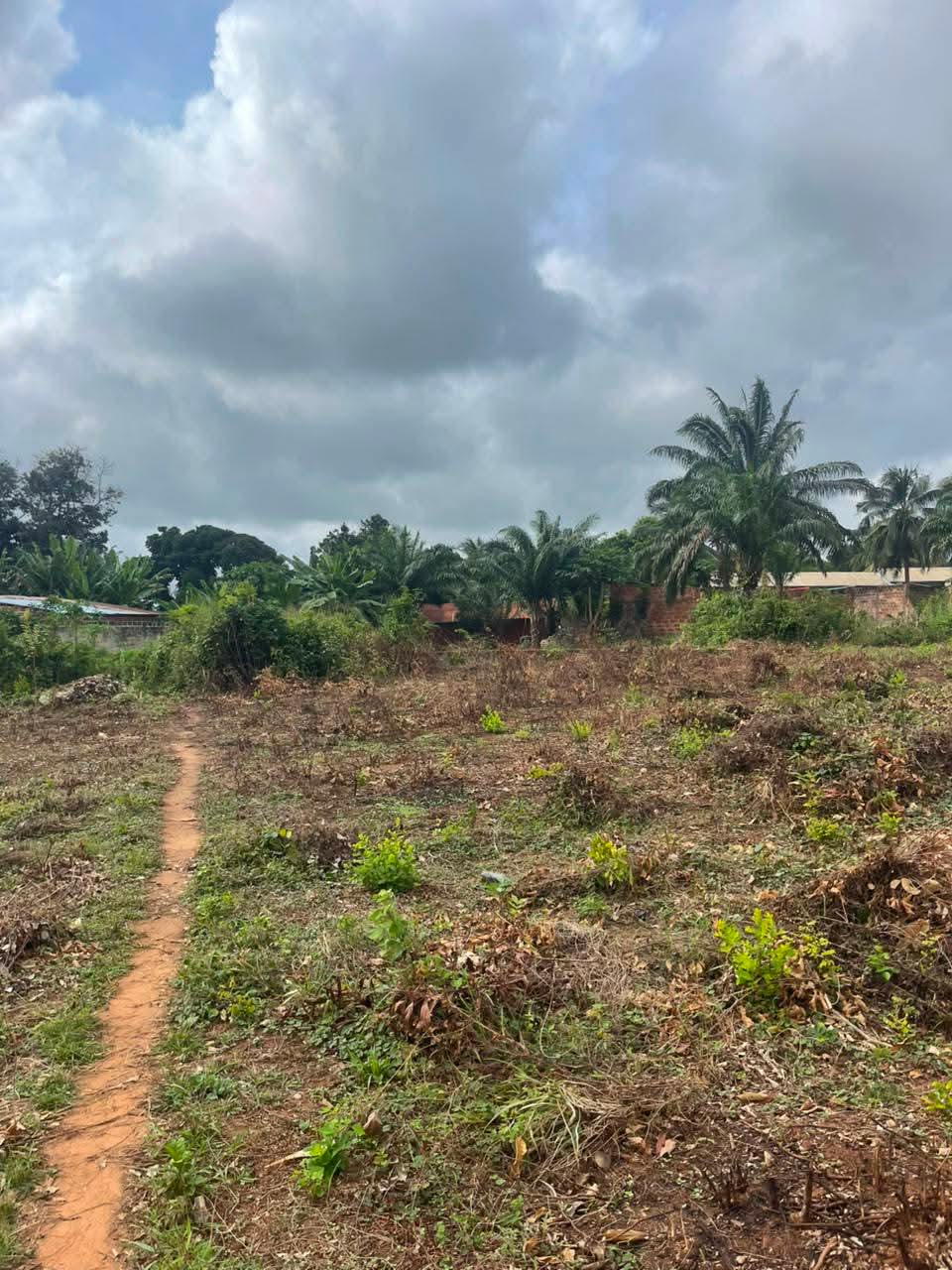 DOMAINE SÉCURISÉ AVEC TF À PAHOU MARCHÉ À 300 M DU NOUVEAU PONT - Vue 3
