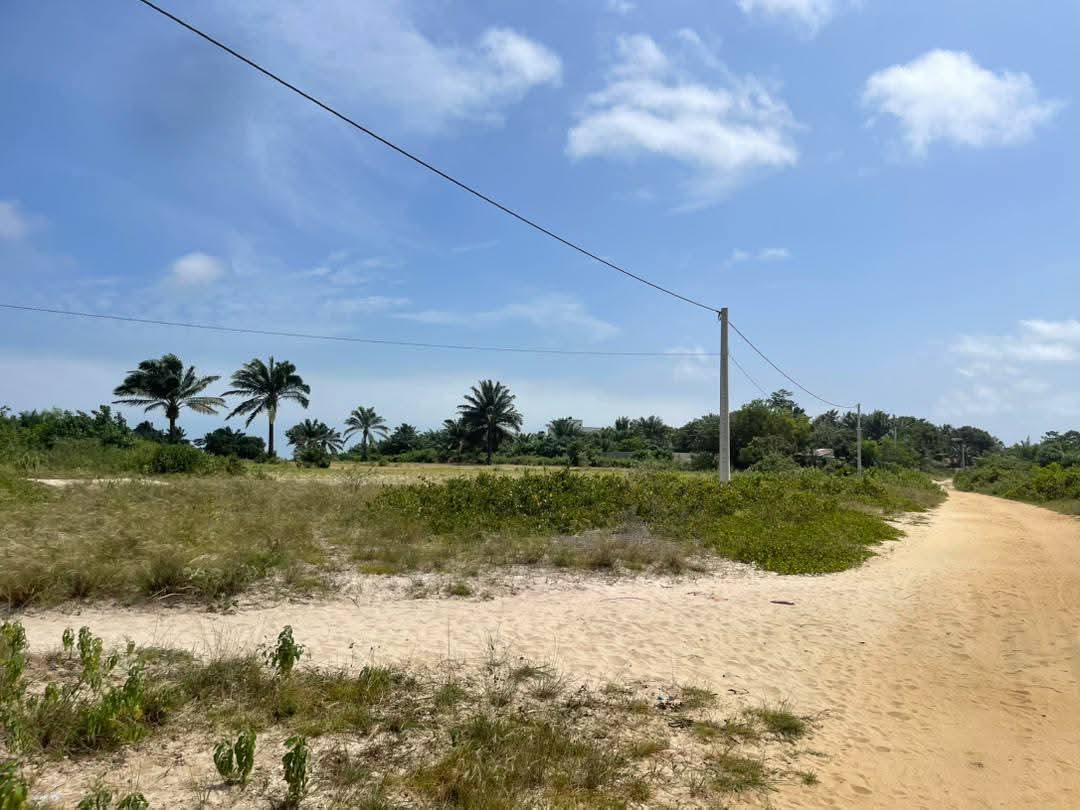 DOMAINE SÉCURISÉ AVEC TITRE FONCIER (TF) À PAHOU NASSARA-CODJI ! - Vue 2