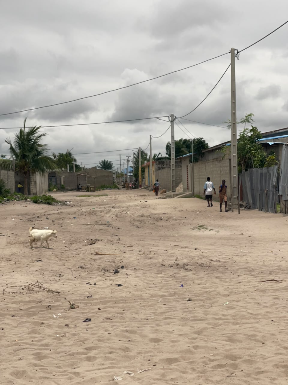 🏝️ ADOUNKO CENTRE : VENTE DE QUATRE 04 PARCELLES COLLÉS - Vue 3