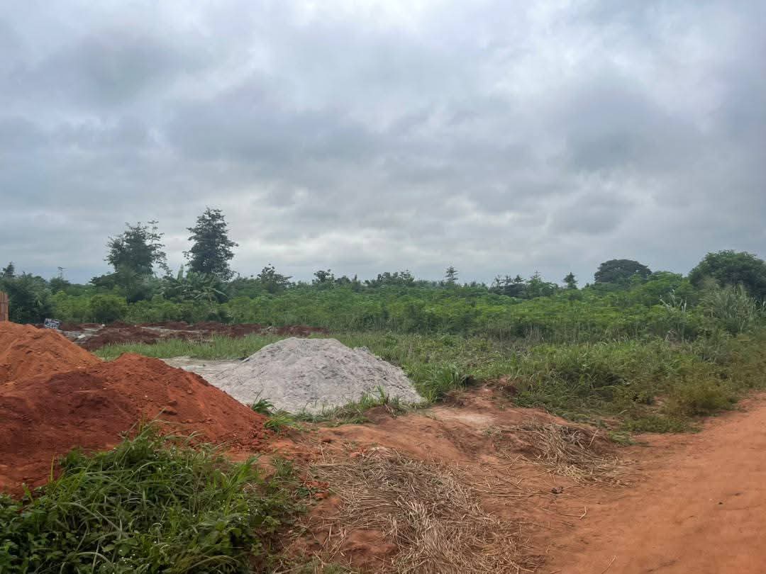 PROMO TERRAIN À SAVI – BOSSOUVI / OUIDAH ! 🇧🇯 - Vue 3