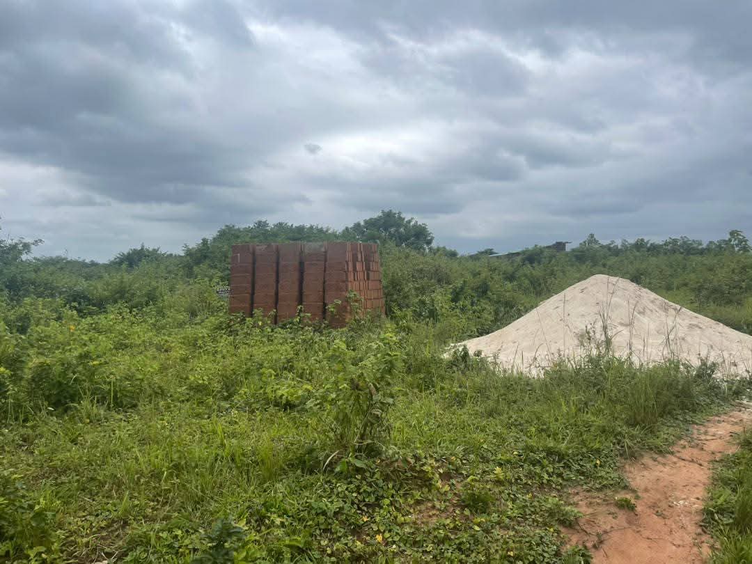 PROMO TERRAIN À SAVI – BOSSOUVI / OUIDAH ! 🇧🇯 - Vue 4