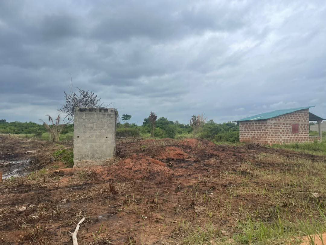 PROMO TERRAIN À SAVI – BOSSOUVI / OUIDAH ! 🇧🇯 - Vue 5