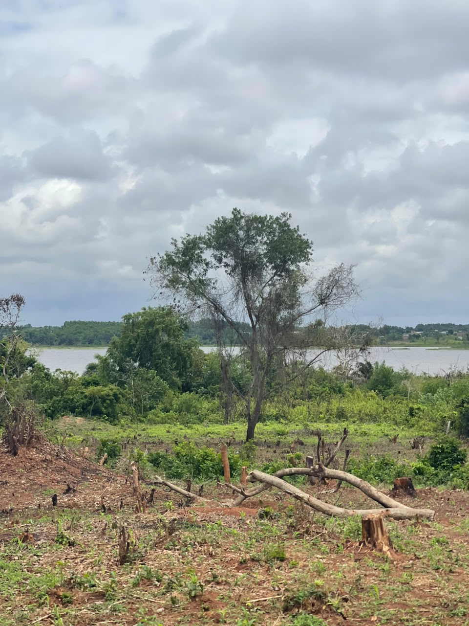 VENTE DE (02) TERRAINS À PAHOU - VU SUR LAC TOHO ! - Vue 3