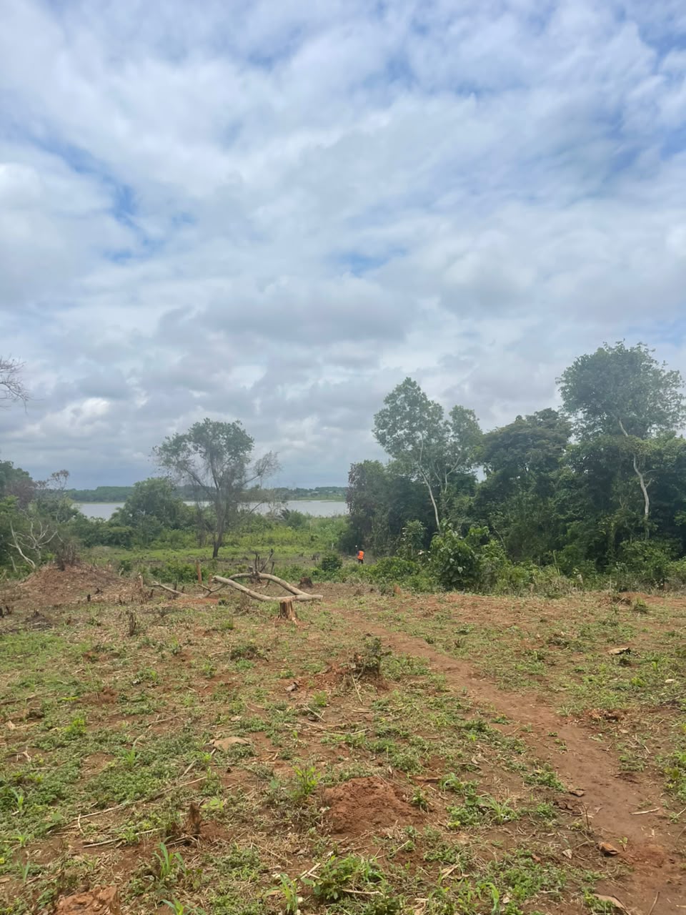 VENTE DE (02) TERRAINS À PAHOU - VU SUR LAC TOHO ! - Vue 5