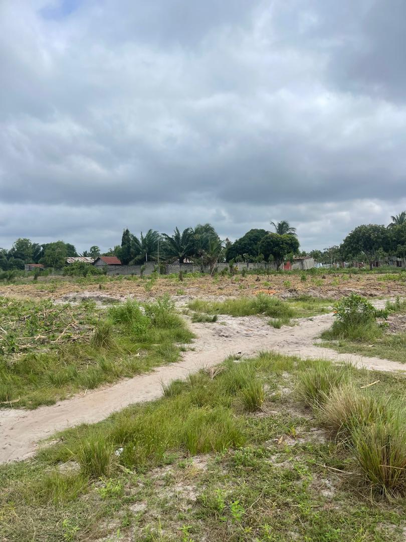 DOMAINE TF À MOINS D'UN KM DES ROUTES DES PÊCHES ( PAHOU HOUANMÈDÈ ) - Vue 4