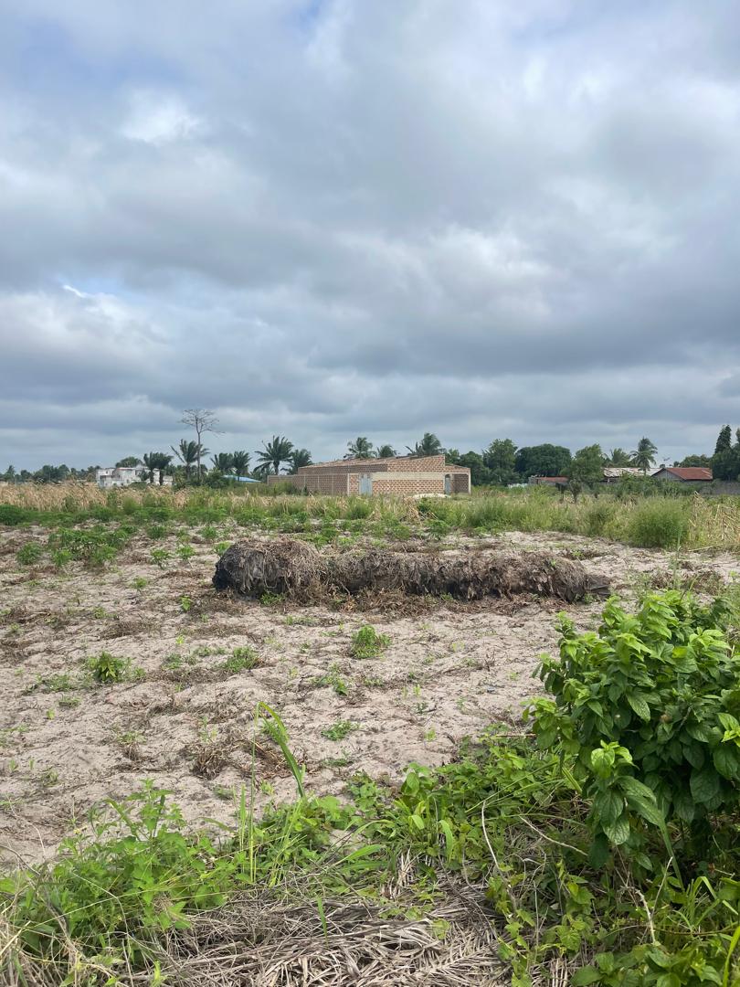 DOMAINE TF À MOINS D'UN KM DES ROUTES DES PÊCHES ( PAHOU HOUANMÈDÈ ) - Vue 5